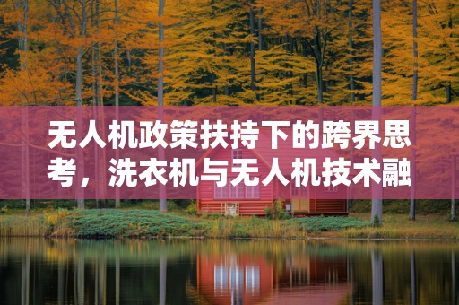 无人机政策扶持下的跨界思考，洗衣机与无人机技术融合的未来政策支持？