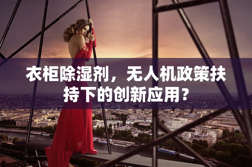 衣柜除湿剂，无人机政策扶持下的创新应用？