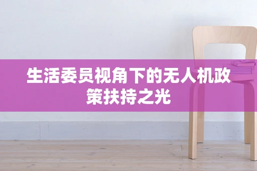 生活委员视角下的无人机政策扶持之光
