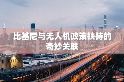 比基尼与无人机政策扶持的奇妙关联