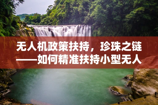 无人机政策扶持，珍珠之链——如何精准扶持小型无人机企业？