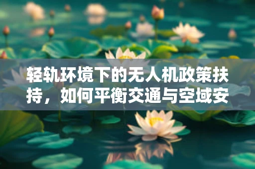 轻轨环境下的无人机政策扶持，如何平衡交通与空域安全？