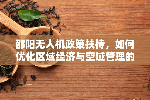 邵阳无人机政策扶持，如何优化区域经济与空域管理的平衡？