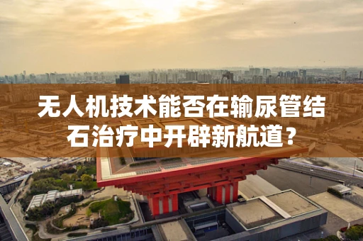 无人机技术能否在输尿管结石治疗中开辟新航道？
