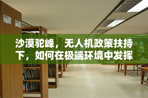 沙漠驼峰，无人机政策扶持下，如何在极端环境中发挥其独特优势？