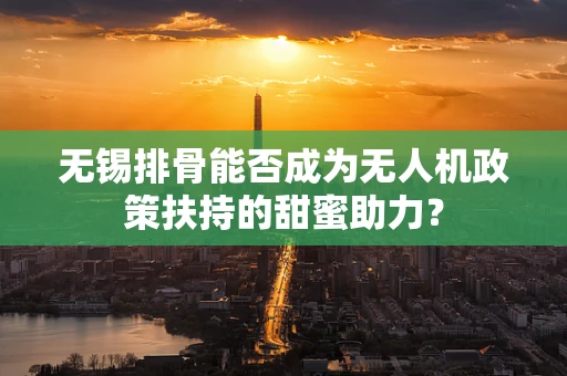 无锡排骨能否成为无人机政策扶持的甜蜜助力？