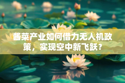 酱菜产业如何借力无人机政策，实现空中新飞跃？