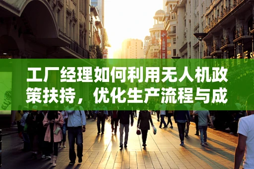工厂经理如何利用无人机政策扶持，优化生产流程与成本控制？