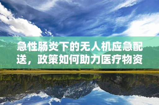 急性肠炎下的无人机应急配送，政策如何助力医疗物资的快速送达？