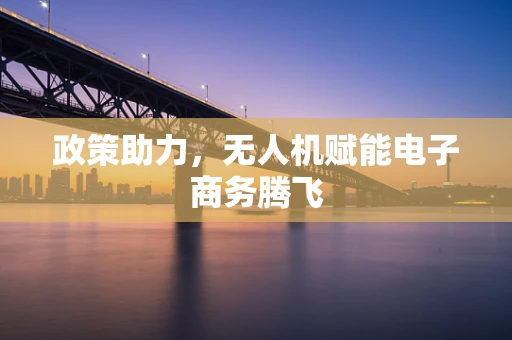 政策助力，无人机赋能电子商务腾飞