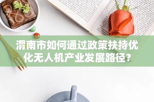 渭南市如何通过政策扶持优化无人机产业发展路径？
