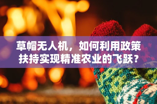 草帽无人机，如何利用政策扶持实现精准农业的飞跃？