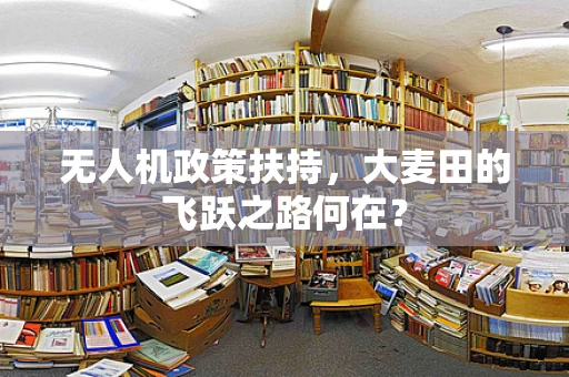 无人机政策扶持，大麦田的飞跃之路何在？