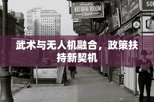 武术与无人机融合，政策扶持新契机