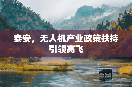 泰安，无人机产业政策扶持引领高飞