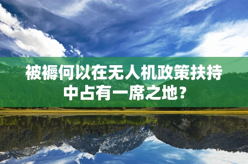 被褥何以在无人机政策扶持中占有一席之地？