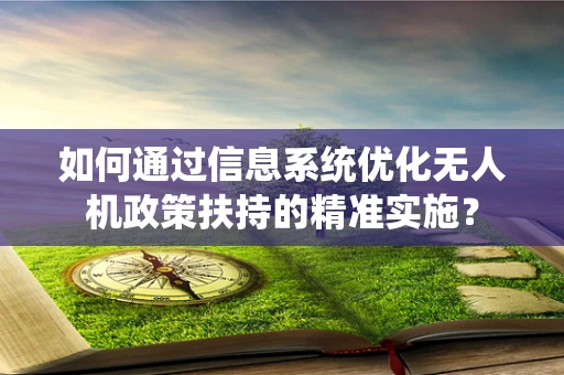 如何通过信息系统优化无人机政策扶持的精准实施？