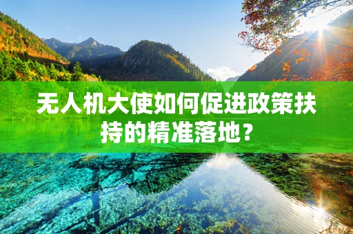 无人机大使如何促进政策扶持的精准落地？