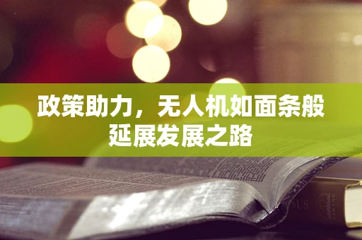 政策助力，无人机如面条般延展发展之路