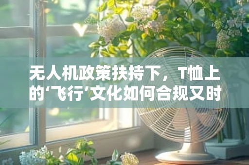 无人机政策扶持下，T恤上的‘飞行’文化如何合规又时尚地展现？