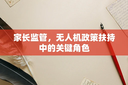 家长监管，无人机政策扶持中的关键角色