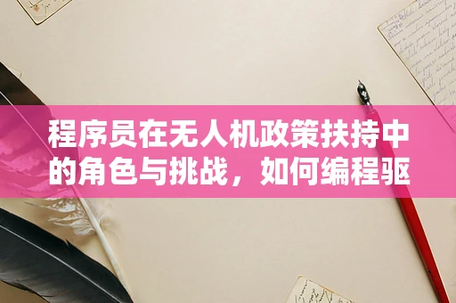 程序员在无人机政策扶持中的角色与挑战，如何编程驱动创新？