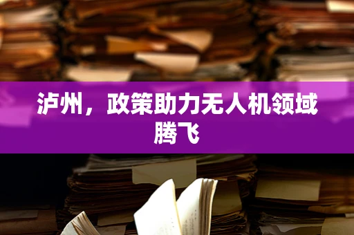 泸州，政策助力无人机领域腾飞