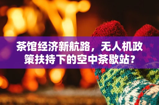 茶馆经济新航路，无人机政策扶持下的空中茶歇站？
