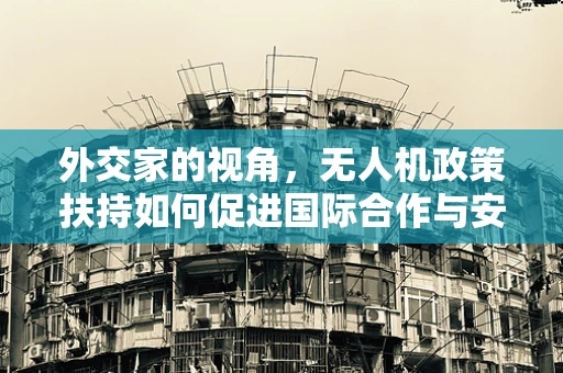 外交家的视角，无人机政策扶持如何促进国际合作与安全？
