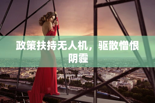 政策扶持无人机，驱散憎恨阴霾
