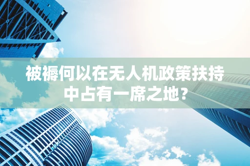 被褥何以在无人机政策扶持中占有一席之地？