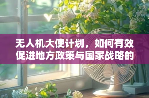 无人机大使计划，如何有效促进地方政策与国家战略的协同？