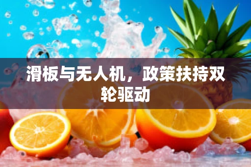 滑板与无人机，政策扶持双轮驱动