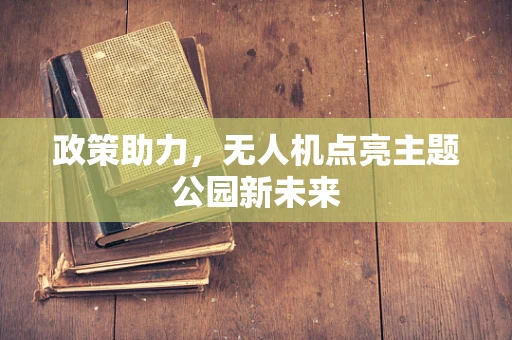 政策助力，无人机点亮主题公园新未来