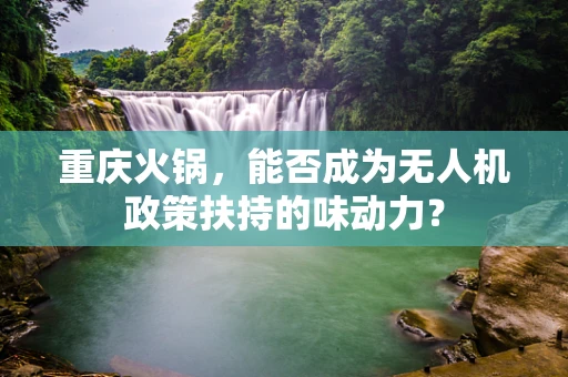 重庆火锅，能否成为无人机政策扶持的味动力？