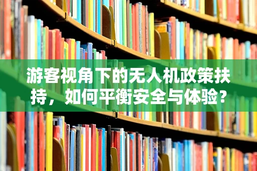 游客视角下的无人机政策扶持，如何平衡安全与体验？