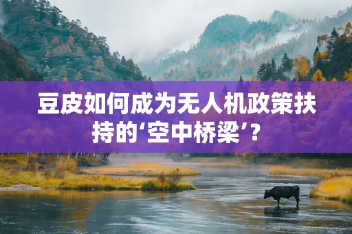 豆皮如何成为无人机政策扶持的‘空中桥梁’？