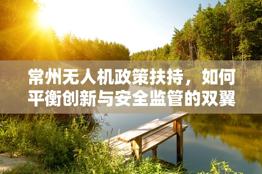 常州无人机政策扶持，如何平衡创新与安全监管的双翼