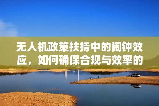 无人机政策扶持中的闹钟效应，如何确保合规与效率的平衡？