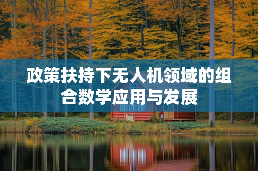 政策扶持下无人机领域的组合数学应用与发展