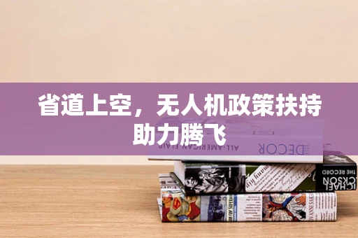省道上空，无人机政策扶持助力腾飞