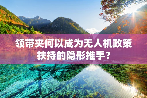 领带夹何以成为无人机政策扶持的隐形推手？
