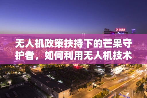 无人机政策扶持下的芒果守护者，如何利用无人机技术促进芒果种植业的高效监管？