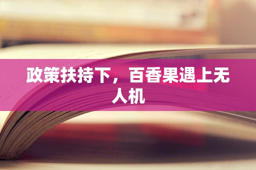 政策扶持下，百香果遇上无人机