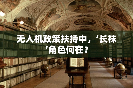 无人机政策扶持中，‘长袜’角色何在？