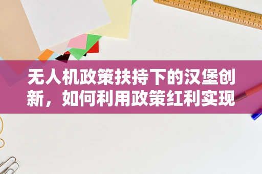 无人机政策扶持下的汉堡创新，如何利用政策红利实现技术革新？