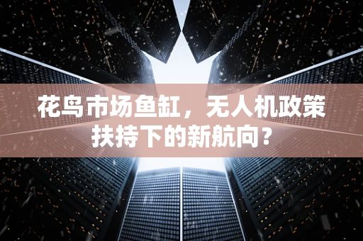 花鸟市场鱼缸，无人机政策扶持下的新航向？