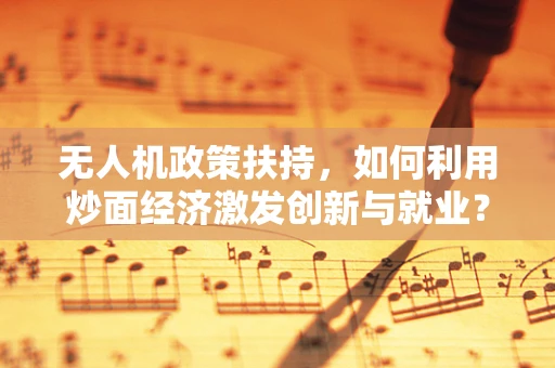 无人机政策扶持，如何利用炒面经济激发创新与就业？