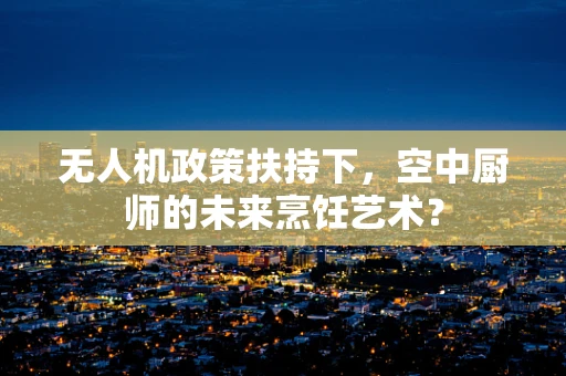 无人机政策扶持下，空中厨师的未来烹饪艺术？