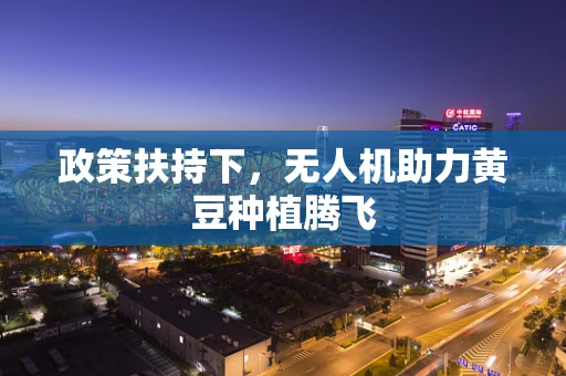 政策扶持下，无人机助力黄豆种植腾飞